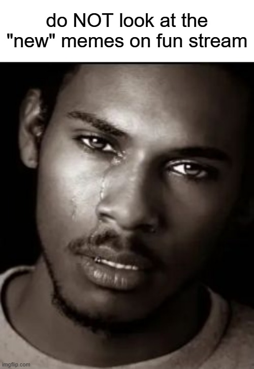 its genuinely feels like a 7 year olds discord server | do NOT look at the "new" memes on fun stream | image tagged in whiteboard,black guy crying | made w/ Imgflip meme maker