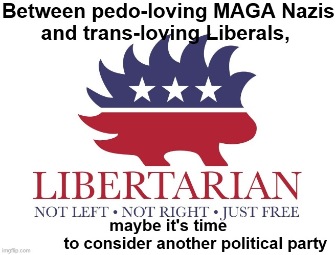 Libertarian Party - in the middle between extremist political parties | Between pedo-loving MAGA Nazis
and trans-loving Liberals, maybe it's time
            to consider another political party | image tagged in libertarian party,american politics,usa,voting,liberty,freedom | made w/ Imgflip meme maker