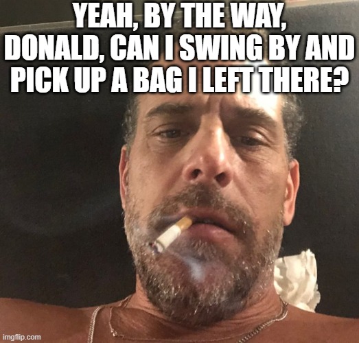 Hunter Biden | YEAH, BY THE WAY, DONALD, CAN I SWING BY AND PICK UP A BAG I LEFT THERE? | image tagged in hunter biden | made w/ Imgflip meme maker
