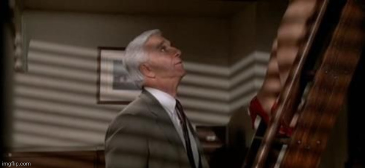 image tagged in nice beaver | made w/ Imgflip meme maker