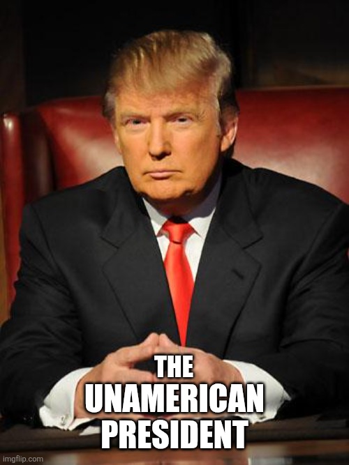 Directed by Rob Reiner | UNAMERICAN PRESIDENT; THE | image tagged in serious trump | made w/ Imgflip meme maker