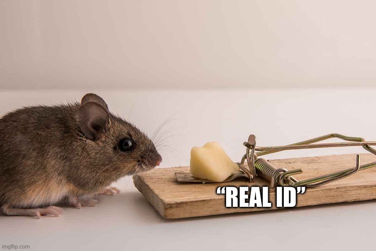 Real id | “REAL ID” | image tagged in mouse trap | made w/ Imgflip meme maker