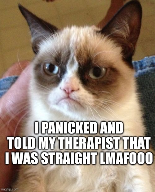 to clarify im not straight... | I PANICKED AND TOLD MY THERAPIST THAT I WAS STRAIGHT LMAFOOO | image tagged in memes,grumpy cat | made w/ Imgflip meme maker
