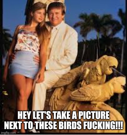 Americas favorite pedo | HEY LET'S TAKE A PICTURE NEXT TO THESE BIRDS FUCKING!!! | image tagged in americas favorite pedo | made w/ Imgflip meme maker