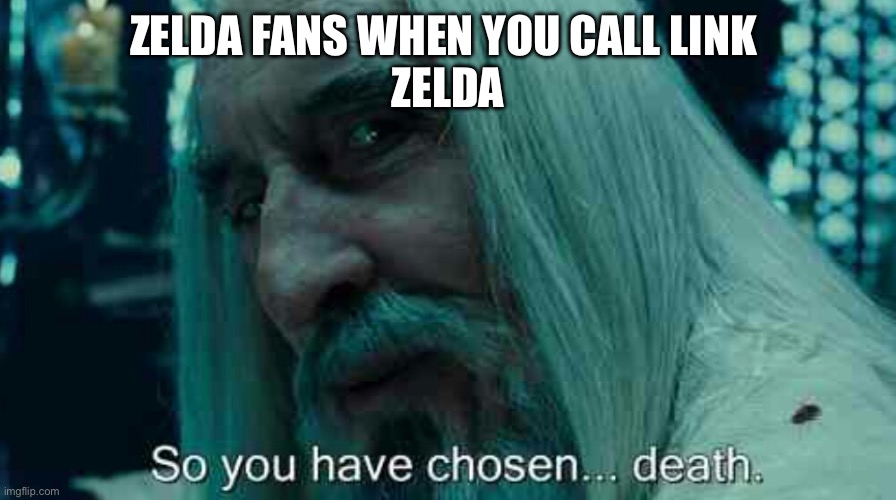As a Zelda fan…yes | ZELDA FANS WHEN YOU CALL LINK 
ZELDA | image tagged in so you have chosen death | made w/ Imgflip meme maker