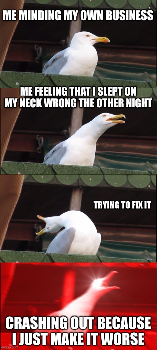 pov after you sleep on your neck wrong | ME MINDING MY OWN BUSINESS; ME FEELING THAT I SLEPT ON MY NECK WRONG THE OTHER NIGHT; TRYING TO FIX IT; CRASHING OUT BECAUSE I JUST MAKE IT WORSE | image tagged in memes,inhaling seagull | made w/ Imgflip meme maker