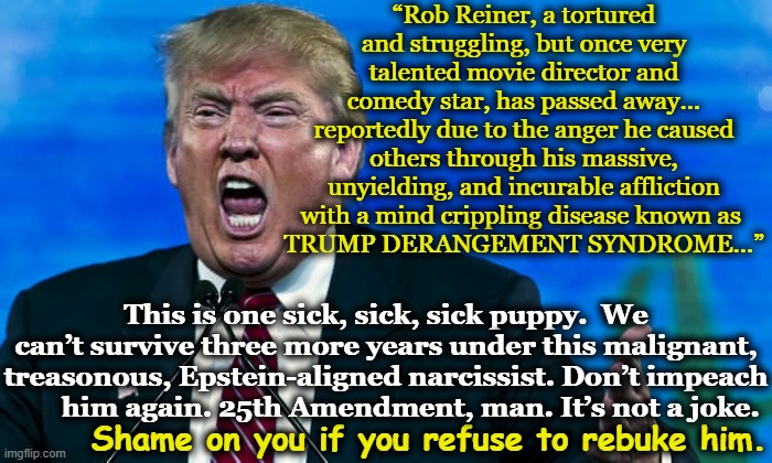 Trump is One Sick Puppy | “Rob Reiner, a tortured and struggling, but once very talented movie director and comedy star, has passed away… reportedly due to the anger he caused others through his massive, unyielding, and incurable affliction with a mind crippling disease known as 
TRUMP DERANGEMENT SYNDROME…”; This is one sick, sick, sick puppy.  We can’t survive three more years under this malignant, treasonous, Epstein-aligned narcissist. Don’t impeach        him again. 25th Amendment, man. It’s not a joke. Shame on you if you refuse to rebuke him. | image tagged in trump rage,malignant narcissism,trump is an asshole,basket of deplorables,maga,donald trump is an idiot | made w/ Imgflip meme maker