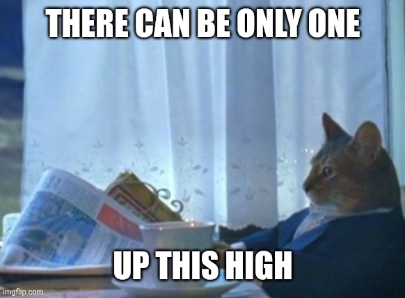 I Should Buy A Boat Cat Meme | THERE CAN BE ONLY ONE UP THIS HIGH | image tagged in memes,i should buy a boat cat | made w/ Imgflip meme maker