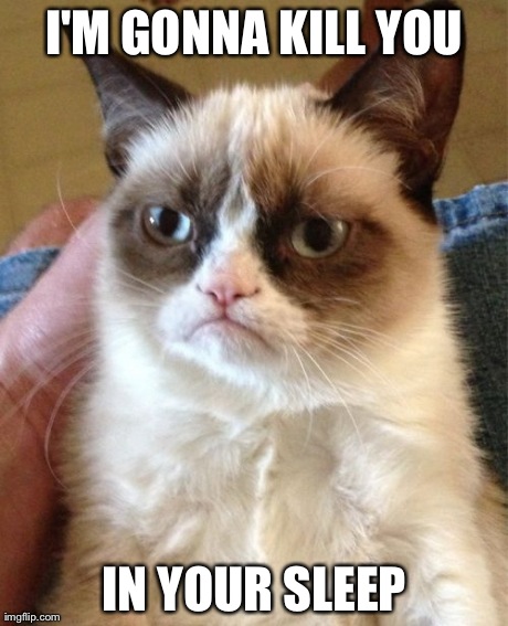 Grumpy Cat | I'M GONNA KILL YOU IN YOUR SLEEP | image tagged in memes,grumpy cat | made w/ Imgflip meme maker
