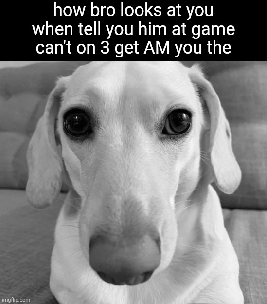 nah cause damn i well know can on get i want dont i but to | how bro looks at you when tell you him at game can't on 3 get AM you the | image tagged in homophobic dog | made w/ Imgflip meme maker