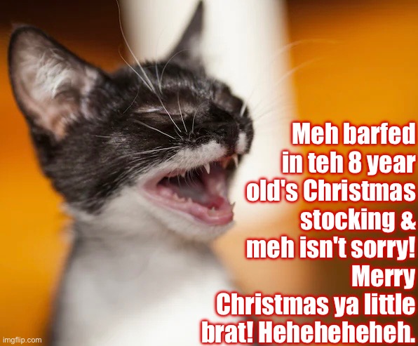 Piece Of Crap Kitten | Meh barfed in teh 8 year old's Christmas stocking & meh isn't sorry! Merry Christmas ya little brat! Heheheheheh. | image tagged in cats,funny cat memes,kittens,christmas,barf,scrooge | made w/ Imgflip meme maker