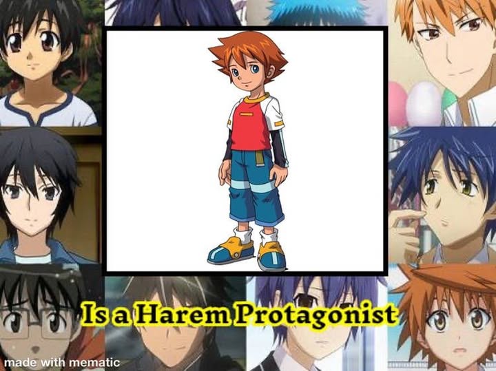 Who is a harem protagonist ? Blank Meme Template