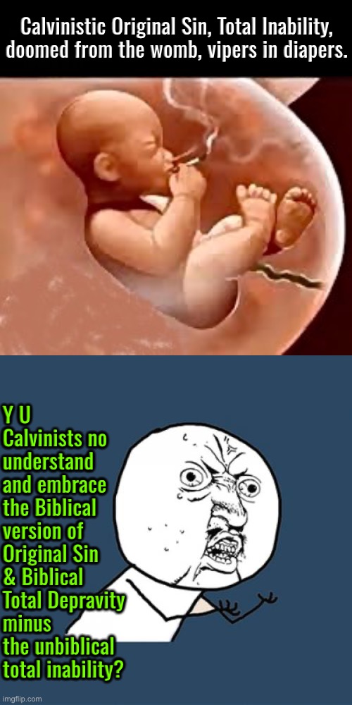 How hard is this concept? | Calvinistic Original Sin, Total Inability, doomed from the womb, vipers in diapers. Y U Calvinists no understand and embrace the Biblical version of Original Sin & Biblical Total Depravity minus the unbiblical total inability? | image tagged in y u no,calvinism,calvinist memes,anti calvinism,reformed theology,brainwashed | made w/ Imgflip meme maker