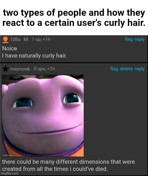 i commented on the wrong image but i'll just keep it there. | two types of people and how they react to a certain user's curly hair. | made w/ Imgflip meme maker