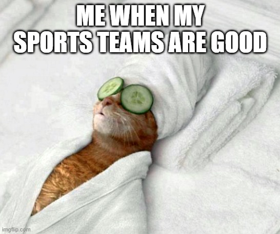 Yay | ME WHEN MY SPORTS TEAMS ARE GOOD | image tagged in relaxicat | made w/ Imgflip meme maker