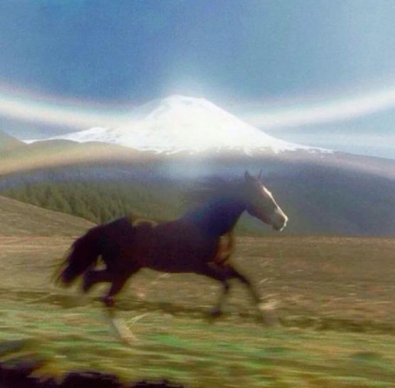 Horse running Blank Meme Template