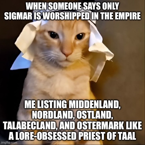 WHEN SOMEONE SAYS ONLY SIGMAR MATTERS IN THE EMPIRE; ME LISTING EVERY PROVINCE’S PREFERRED GOD AND ARMY AESTHETIC | WHEN SOMEONE SAYS ONLY SIGMAR IS WORSHIPPED IN THE EMPIRE; ME LISTING MIDDENLAND, NORDLAND, OSTLAND, TALABECLAND, AND OSTERMARK LIKE A LORE-OBSESSED PRIEST OF TAAL | image tagged in meowshallah,cat memes,gaming,allahu akbar,empire,warhammer40k | made w/ Imgflip meme maker