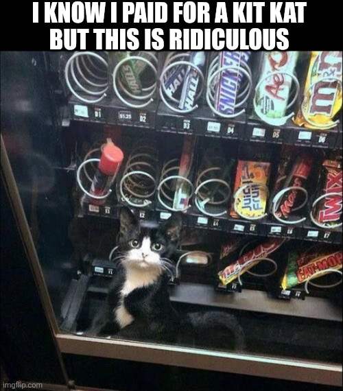 I Know I Paid For A Kit Kat But This Is Ridiculous | I KNOW I PAID FOR A KIT KAT 
BUT THIS IS RIDICULOUS | image tagged in chrisjoines1 | made w/ Imgflip meme maker