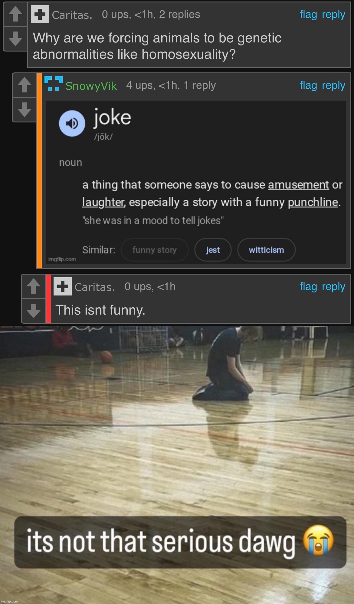 image tagged in it's not that serious dawg | made w/ Imgflip meme maker