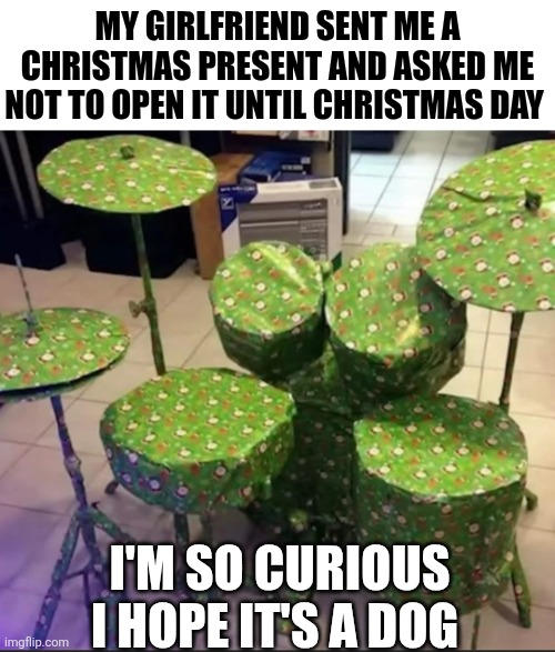 My Girlfriend Sent Me A Christmas Present | MY GIRLFRIEND SENT ME A CHRISTMAS PRESENT AND ASKED ME NOT TO OPEN IT UNTIL CHRISTMAS DAY; I'M SO CURIOUS I HOPE IT'S A DOG | image tagged in chrisjoines1 | made w/ Imgflip meme maker