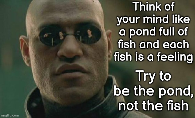 Be The Pond | Think of your mind like a pond full of fish and each fish is a feeling; Try to be the pond, not the fish | image tagged in memes,matrix morpheus,be kind,love wins,the great awakening,knowledge is power | made w/ Imgflip meme maker