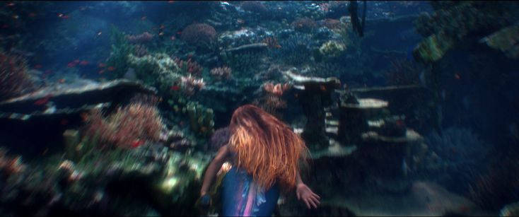 beautiful sea Blank Meme Template