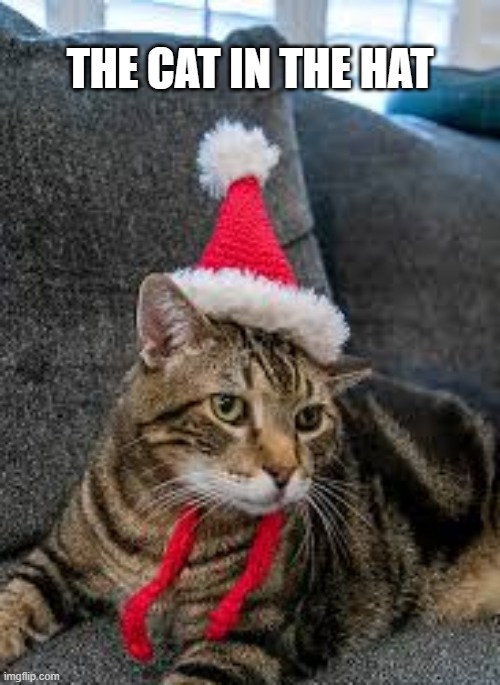 A Cat In The Hat for Christmas. | THE CAT IN THE HAT | image tagged in cat,kittens,funny,humor,christmas,merry christmas | made w/ Imgflip meme maker