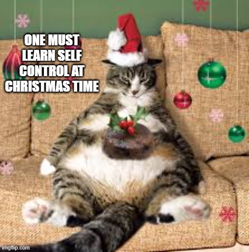 Cat says "One must learn self control at Christmas time." | ONE MUST LEARN SELF CONTROL AT CHRISTMAS TIME | image tagged in cat,kittens,funny,humor,christmas,fat cat | made w/ Imgflip meme maker