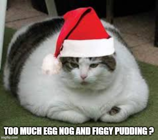 Too much egg nog and figgy pudding said the fat cat. | TOO MUCH EGG NOG AND FIGGY PUDDING ? | image tagged in cat,kittens,funny,humor,christmas,fat cat | made w/ Imgflip meme maker