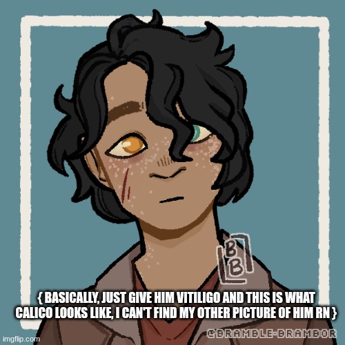 { BASICALLY, JUST GIVE HIM VITILIGO AND THIS IS WHAT CALICO LOOKS LIKE, I CAN'T FIND MY OTHER PICTURE OF HIM RN } | made w/ Imgflip meme maker
