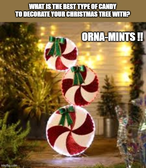What is the best candy to decorate a Christmas tree with?     Orna-mints !! | WHAT IS THE BEST TYPE OF CANDY TO DECORATE YOUR CHRISTMAS TREE WITH? ORNA-MINTS !! | image tagged in funny,humor,christmas,christmas tree,decorate,candy | made w/ Imgflip meme maker