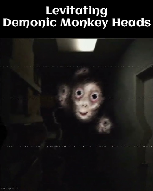 Levitating Heads | Levitating Demonic Monkey Heads | image tagged in cursed images,monkeys,levitation,what a terrible day to have eyes,creepy,what the actual f | made w/ Imgflip meme maker
