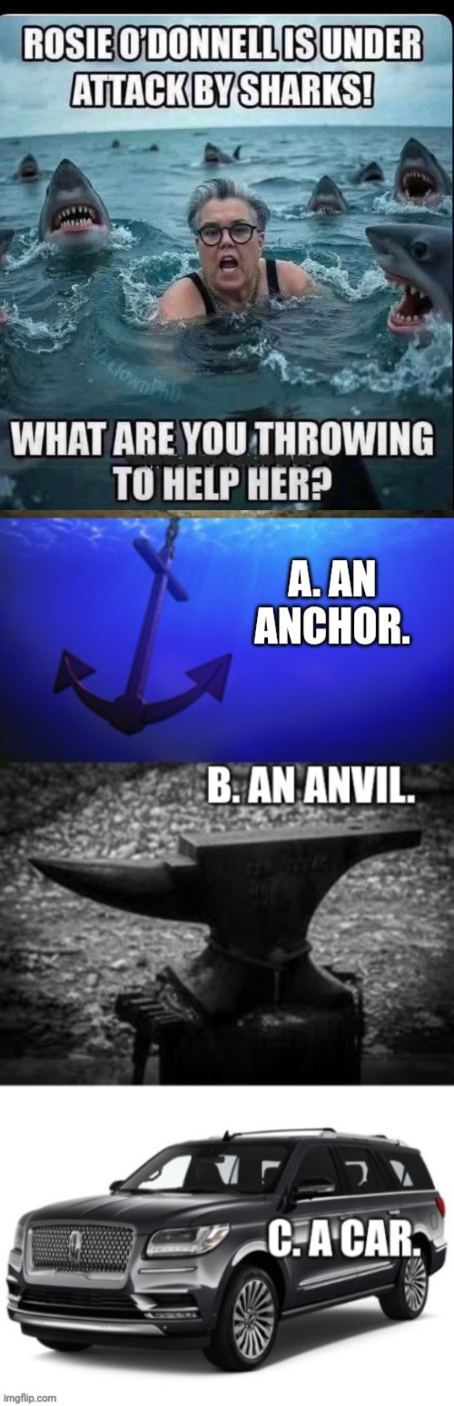 Help Rosie out ! | image tagged in rosie o'donnell,sharks | made w/ Imgflip meme maker