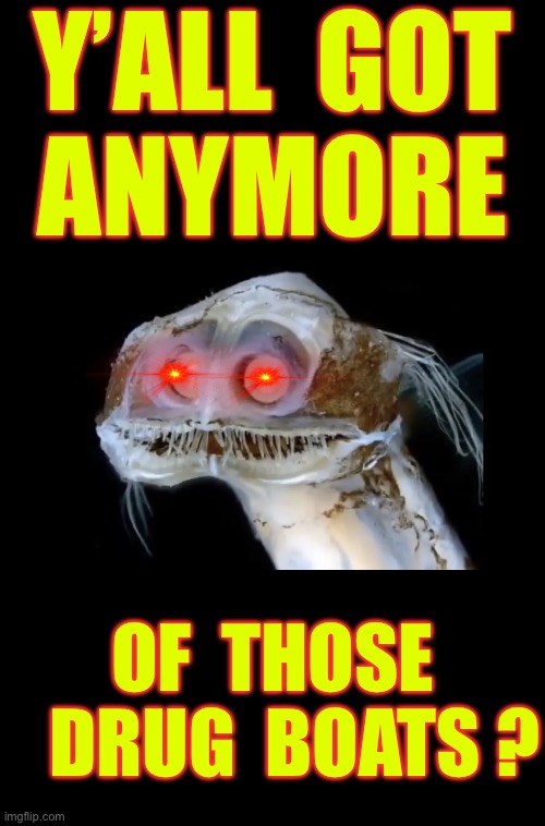 A TRULY LOST SPECIES !!!  : ) | Y’ALL  GOT
ANYMORE; OF  THOSE
   DRUG  BOATS ? | image tagged in ugly fish face | made w/ Imgflip meme maker