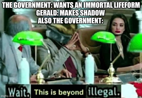 Wth was the point of project shadow if gun decided to raid the ark | THE GOVERNMENT: WANTS AN IMMORTAL LIFEFORM
GERALD: MAKES SHADOW 
ALSO THE GOVERNMENT: | image tagged in wait this is beyond illegal,sonic the hedgehog,shadow the hedgehog | made w/ Imgflip meme maker