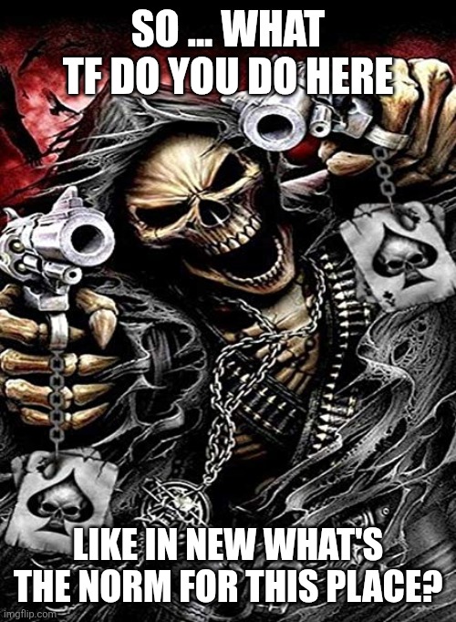 Badass skeleton with guns | SO ... WHAT TF DO YOU DO HERE; LIKE IN NEW WHAT'S THE NORM FOR THIS PLACE? | image tagged in badass skeleton with guns | made w/ Imgflip meme maker