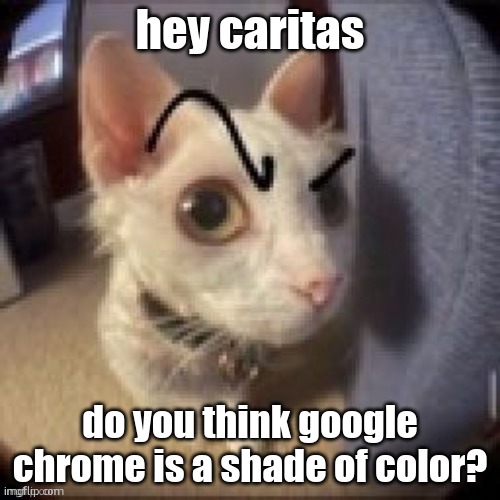 question for caritas | hey caritas; do you think google chrome is a shade of color? | image tagged in side eye eyebrow raise cat | made w/ Imgflip meme maker
