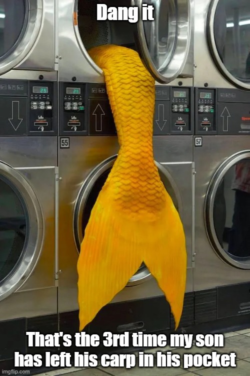 Laundry Day | Dang it; That's the 3rd time my son has left his carp in his pocket | image tagged in laundry,something fishy,kids,ariel is that you | made w/ Imgflip meme maker