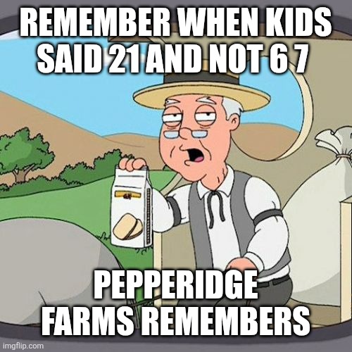 Remember 21 guys | REMEMBER WHEN KIDS SAID 21 AND NOT 6 7; PEPPERIDGE FARMS REMEMBERS | image tagged in memes,pepperidge farm remembers | made w/ Imgflip meme maker