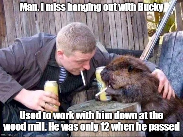 Bucky Beaver | Man, I miss hanging out with Bucky; Used to work with him down at the wood mill. He was only 12 when he passed | image tagged in memories,missing you,beaver,workmate | made w/ Imgflip meme maker