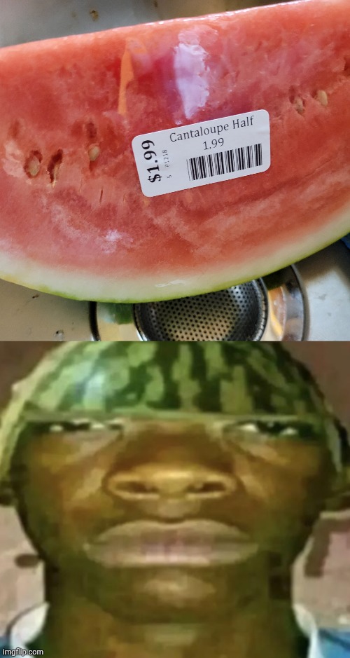 Ah yes Cantaloupe half | image tagged in watermelon hat,watermelon,half,cantaloupe,you had one job,memes | made w/ Imgflip meme maker