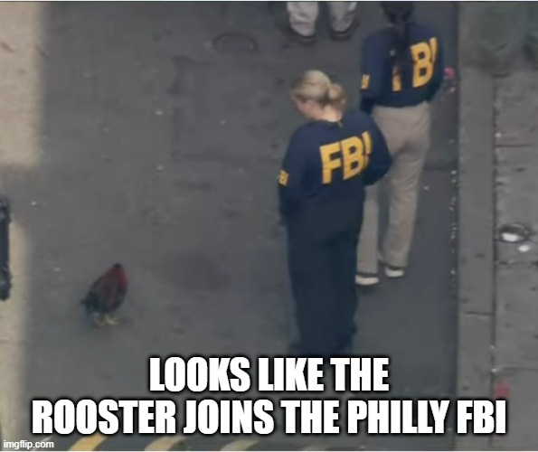 Rooster FBI | LOOKS LIKE THE ROOSTER JOINS THE PHILLY FBI | image tagged in philly,fbi | made w/ Imgflip meme maker