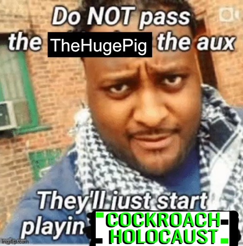 Do not pass the X the aux They’ll just start playin Y | TheHugePig | image tagged in do not pass the x the aux they ll just start playin y | made w/ Imgflip meme maker