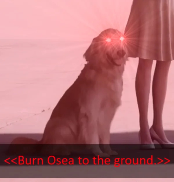 Jpeg dog Blank Meme Template