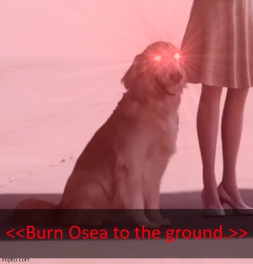 Jpeg dog | image tagged in jpeg dog | made w/ Imgflip meme maker