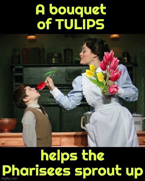 A Bouquet Of TULIPS | image tagged in calvinism,calvinist memes,tulips,mary poppins,anti calvinism,reformed theology | made w/ Imgflip meme maker