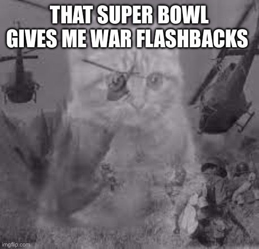 Cat war flashback | THAT SUPER BOWL GIVES ME WAR FLASHBACKS | image tagged in cat war flashback | made w/ Imgflip meme maker