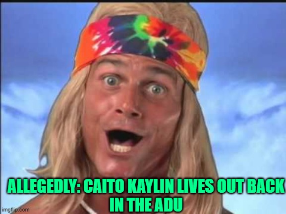 surfer | ALLEGEDLY: CAITO KAYLIN LIVES OUT BACK
IN THE ADU | image tagged in surfer | made w/ Imgflip meme maker