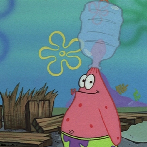 Patrick head stuck in bottle dumb | image tagged in patrick head stuck in bottle dumb | made w/ Imgflip meme maker