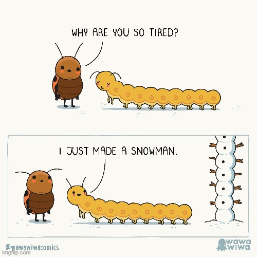 image tagged in ladybug,centipede,snowman | made w/ Imgflip meme maker